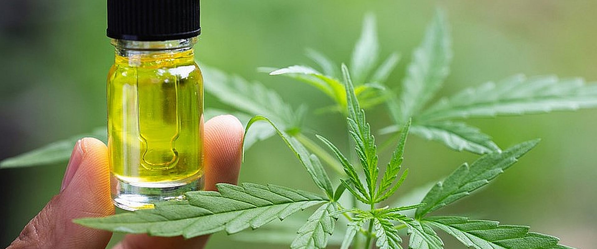 The Truth About CBD Oil and Mood Swings: An Expert's Perspective