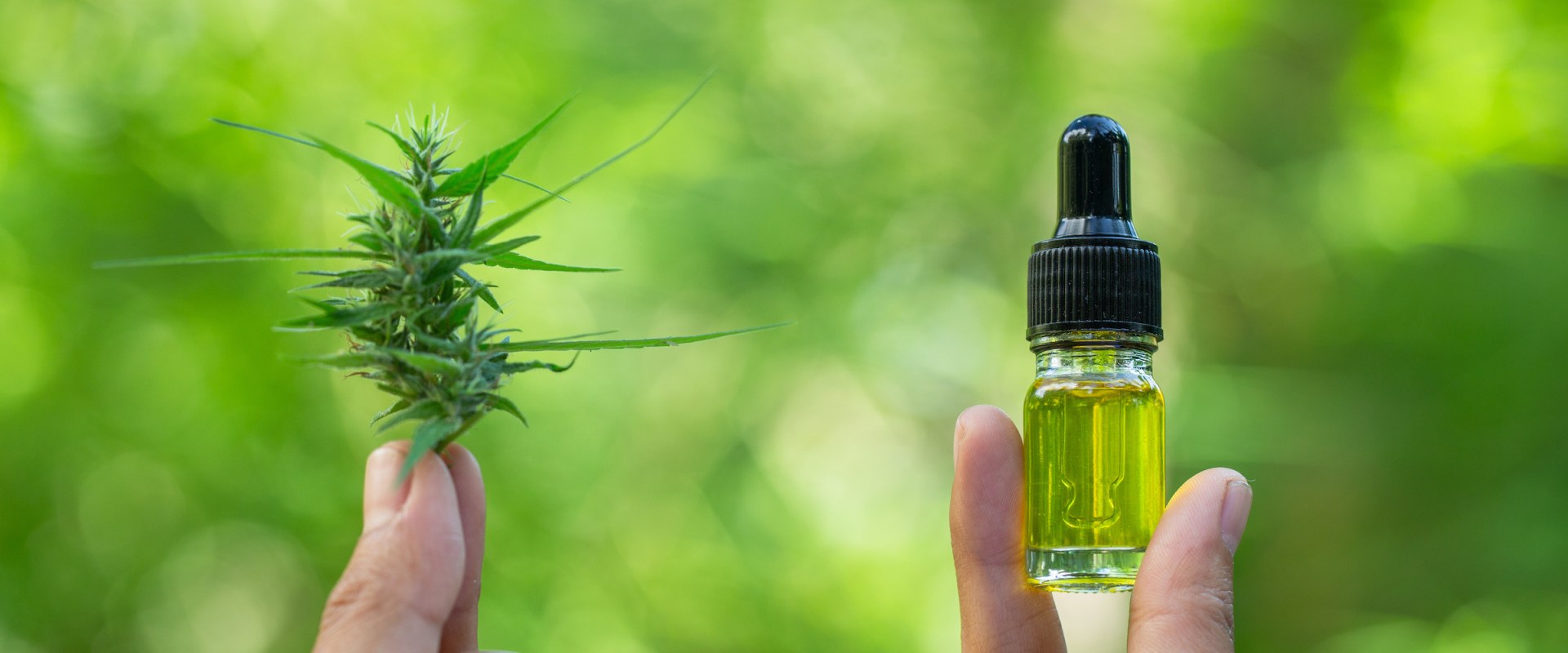 The Ultimate Guide to Choosing High-Quality CBD Products: An Expert's Perspective