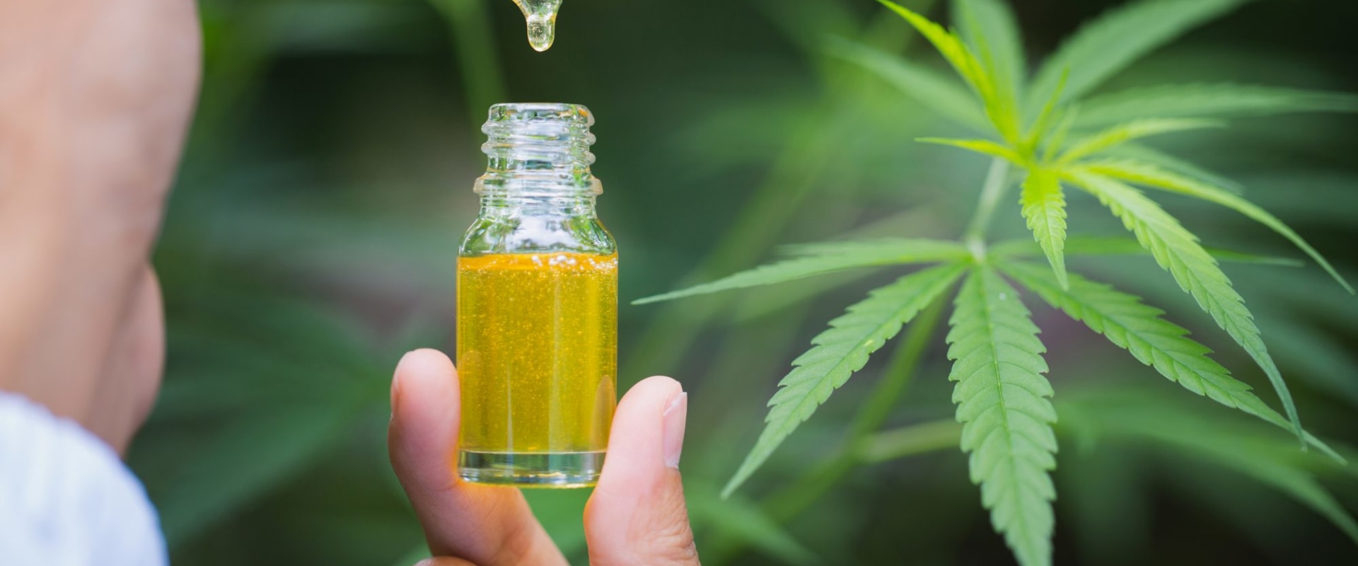 The Truth About CBD Oil and Mental Health