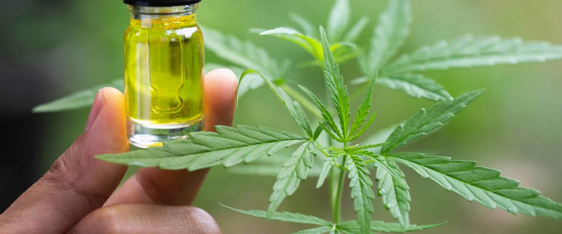 The Ultimate Guide to CBD and Marijuana: What You Need to Know
