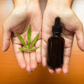 The Power of CBD Oil: An Expert's Perspective