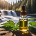 The Truth About CBD Oil: Debunking Myths and Understanding Risks